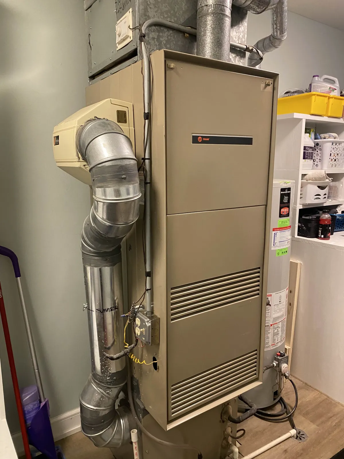 This is the sign you've been looking for neon signage